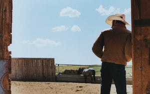 Fall / Winter 25 Campaign