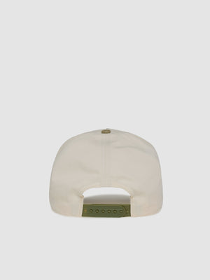 AP Snap Back