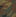 Woodland Camo